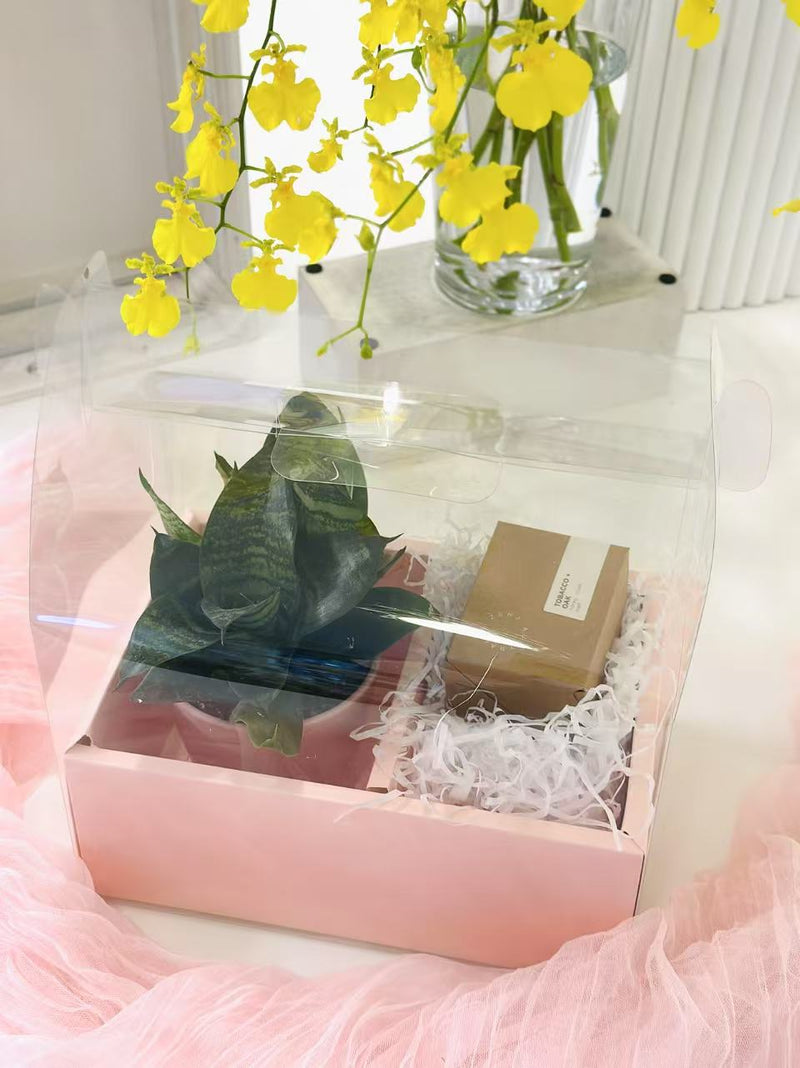 Gift Box (Pre-order ONLY)