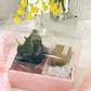 Gift Box (Pre-order ONLY)