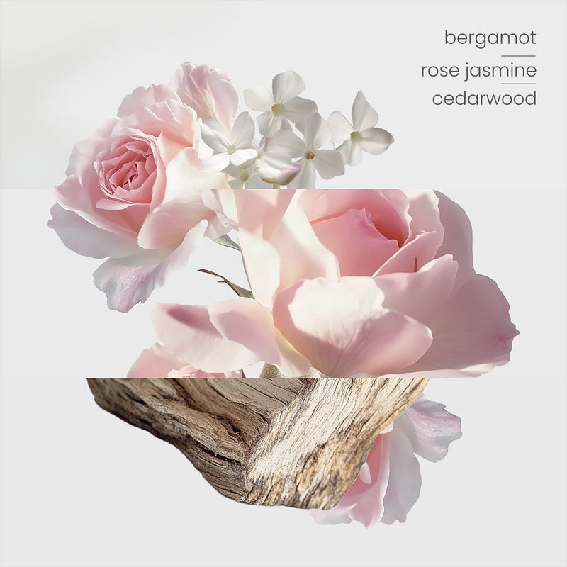 Oil - Botanical Gardens (Jardin de Carthage)