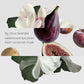 Diffuser - Fig Tree