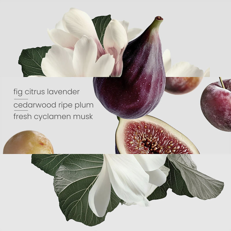 Diffuser - Fig Tree