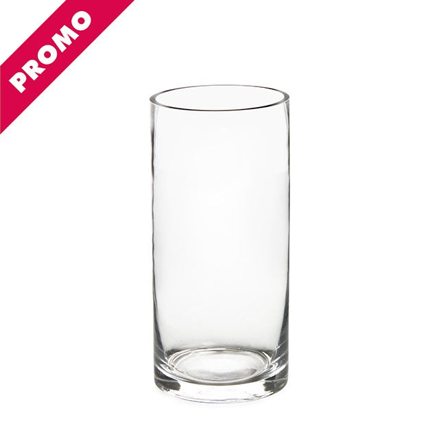 Glass Cylinder Vase Clear (10Dx15cmH)