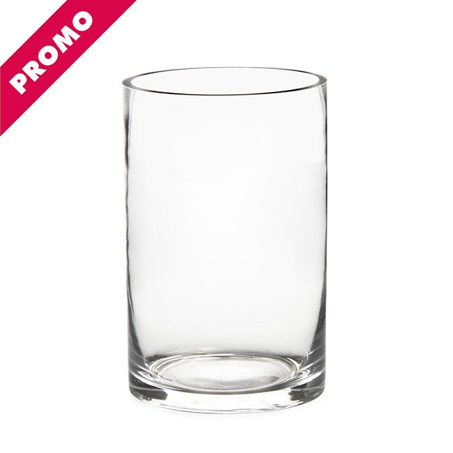 Glass Cylinder Vase Clear (15Dx20cmH)