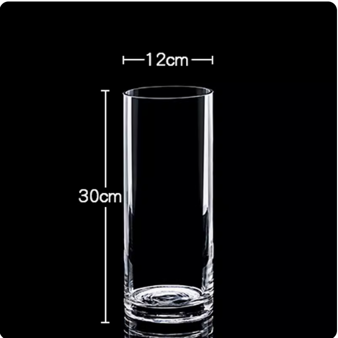 Glass Cylinder Vase (12Dx30cmH)