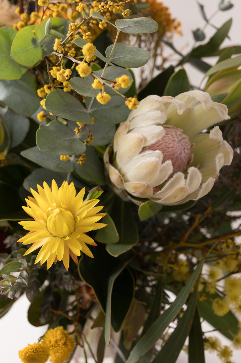 Australian Natives