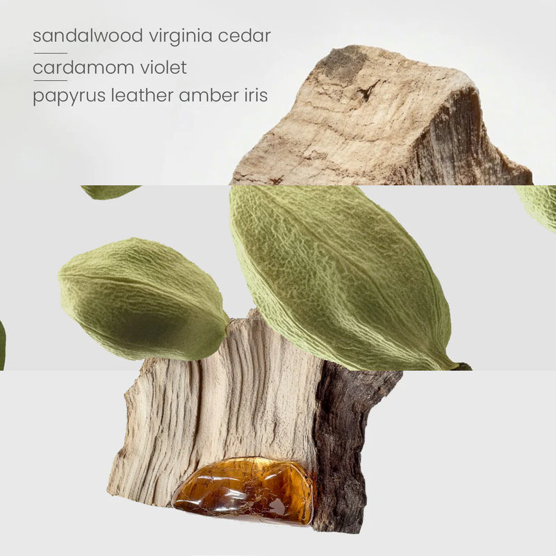 Diffuser - Santal Woods (Santal 66)