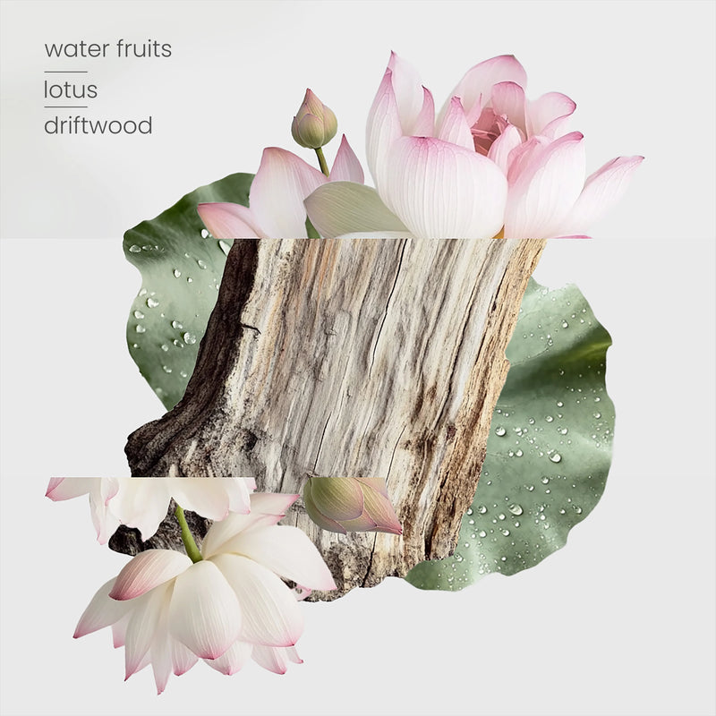 Diffuser - Zen Garden